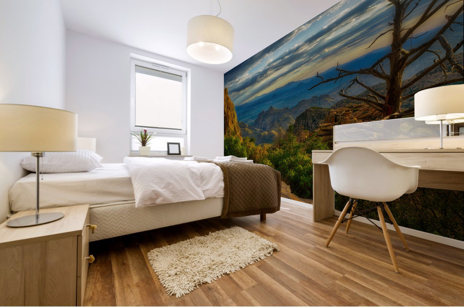 Windy Point View 1 Mural print