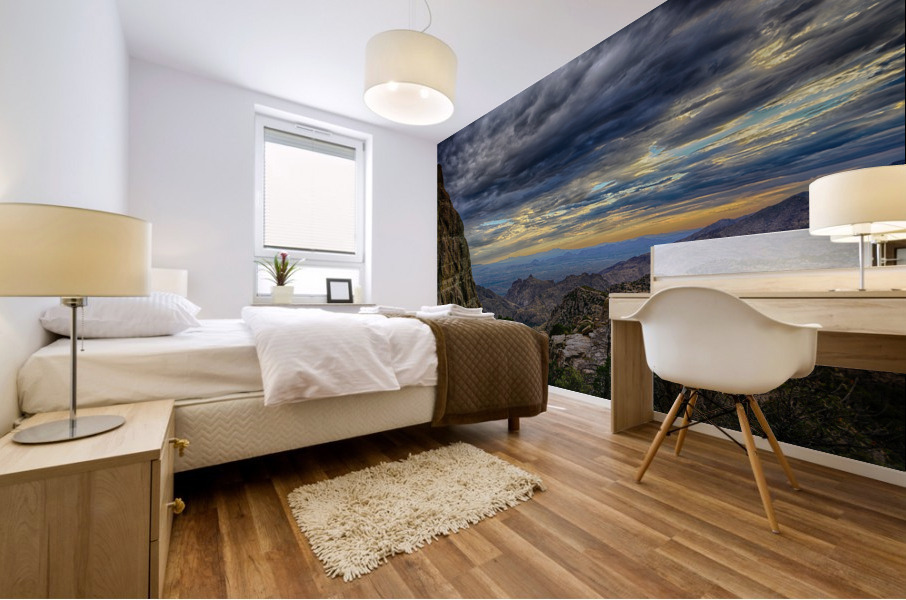 Windy Point View  3 Mural print