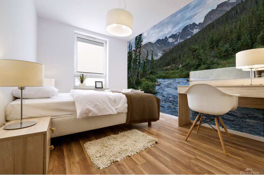 Barnard Lake Boulder 2 Mural print