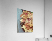 The Side Way Golden Leafs. Acrylic Print
