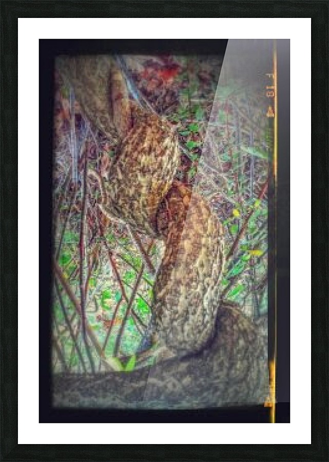 The Twine Vine Tree. Picture Frame print