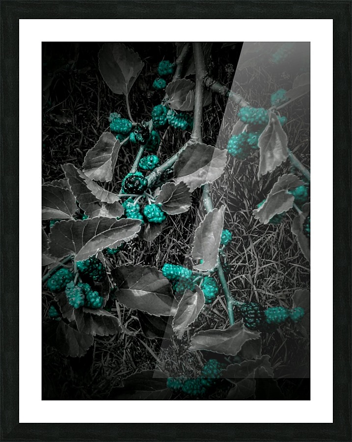 Green Zone.PIXS 152 Picture Frame print