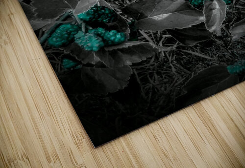 Green Zone.PIXS 152 Michelle Ramos puzzle