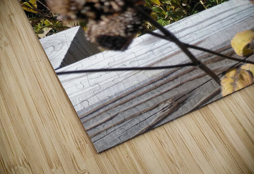 Brown Dried Zone. Michelle Ramos puzzle
