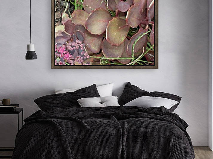The Rose of thee Cactuses by Michelle Ramos