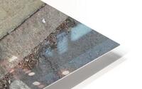 Down Drain it Went. HD Metal print