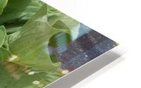 Keep it Green to be. HD Metal print