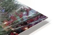 Dandy Lion 2 HD Metal print
