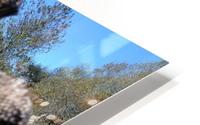Brown Dried Zone. HD Metal print