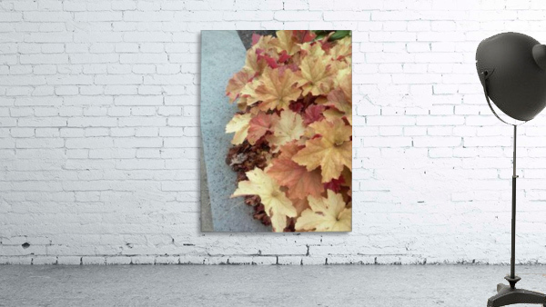 The Side Way Golden Leafs. Wall Preview
