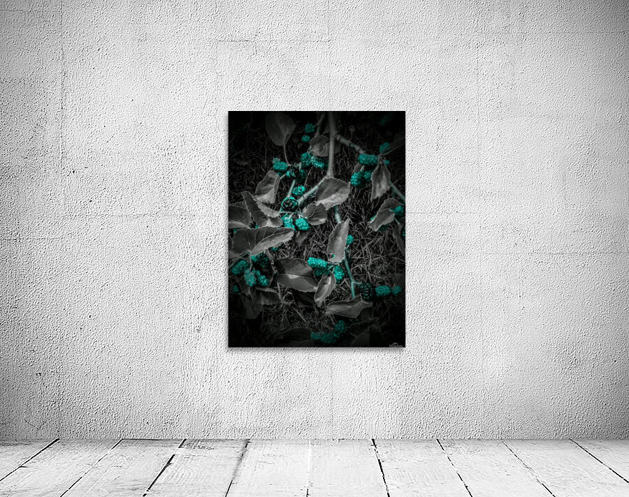 Green Zone.PIXS 152 Wall Preview