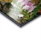 Flower Mix 12 Acrylic print