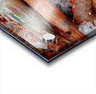 Shrimp  Acrylic print