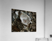 Abs 05_00004 Acrylic Print