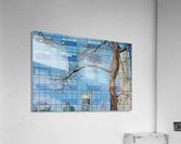 Abs 03_00002 Acrylic Print
