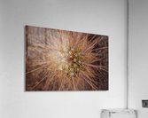 Abs 08_00007 Acrylic Print