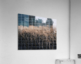Abs 01_00001 Acrylic Print