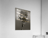 BW 06_00007 Acrylic Print
