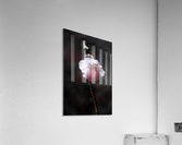 Flower Mix 15 Acrylic Print