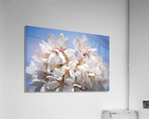 Flower Mix 09 Acrylic Print