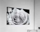 Rose01_00001 Acrylic Print