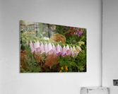 Flower Mix 12 Acrylic Print