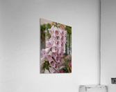Flower Mix 13 Acrylic Print