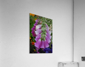 Flower Mix 14 Acrylic Print