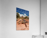 Sedona -17 Acrylic Print