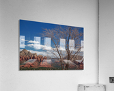 Sedona -8 Acrylic Print