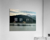 Alaska Acrylic Print