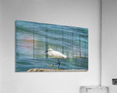 Bird 14 Acrylic Print