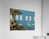 Bird 12 Acrylic Print