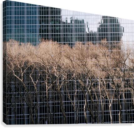 Abs 01_00001 Canvas Print
