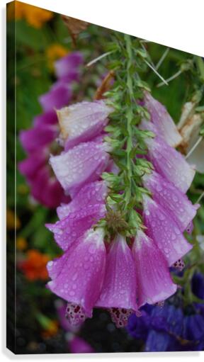 Flower Mix 14 Canvas Print