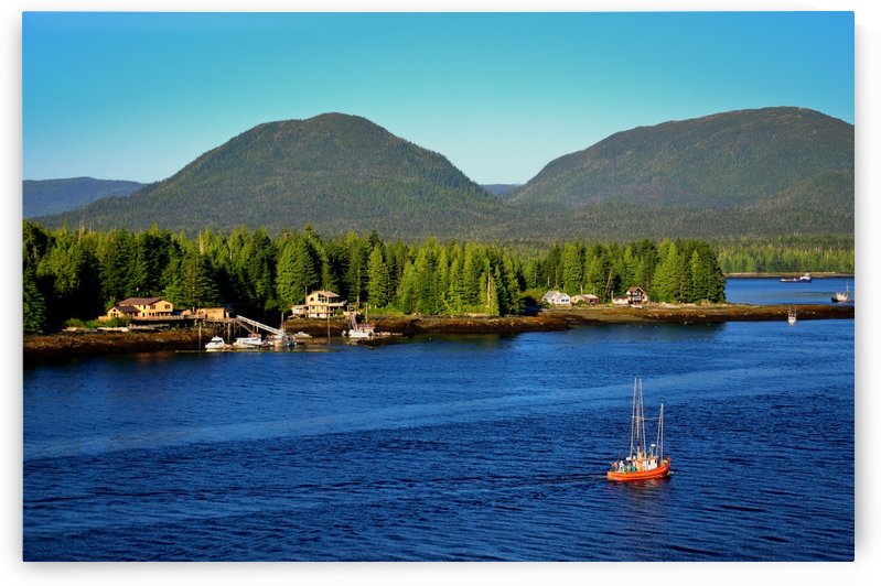 Alaska by Morteza Golpoor