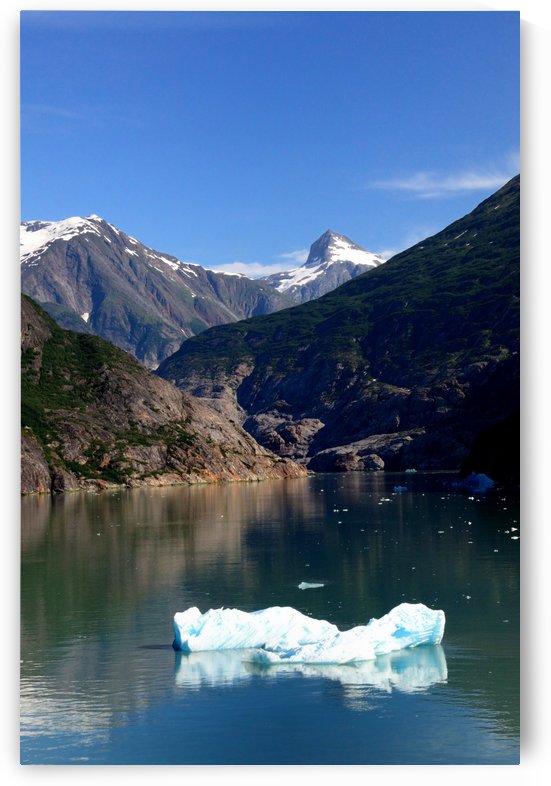 Alaska by Morteza Golpoor
