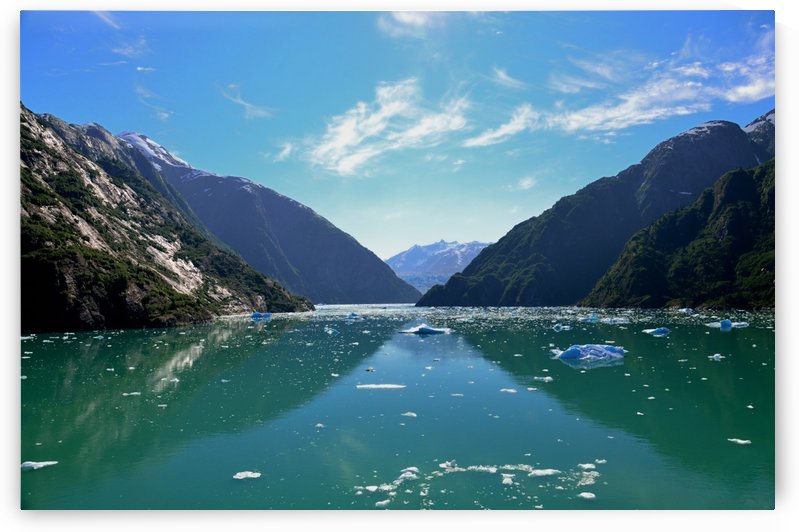Alaska by Morteza Golpoor