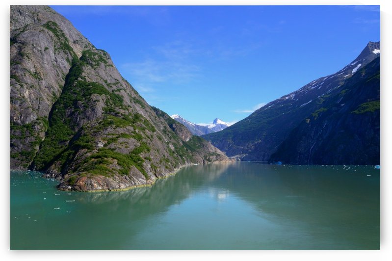 Alaska by Morteza Golpoor