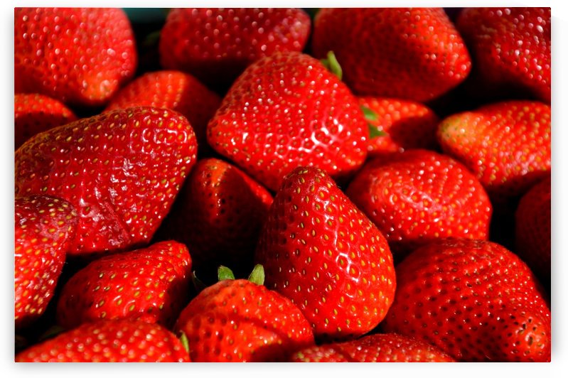 Strawberries   by Morteza Golpoor