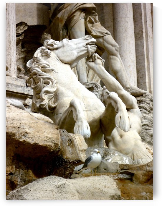 Rome Italy 4 by Morteza Golpoor