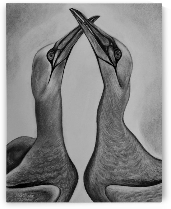 LOVE by Morteza Golpoor