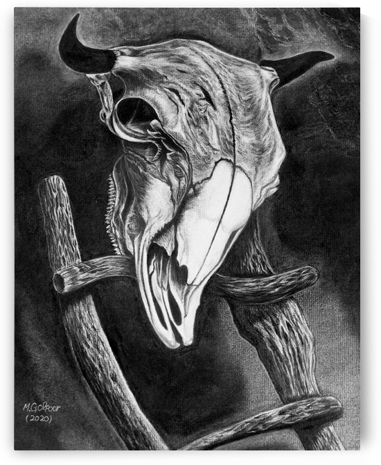 Longhorn  by Morteza Golpoor