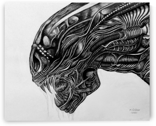 Xenomorph - Alien by Morteza Golpoor