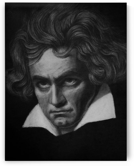 Ludwig van Beethoven  by Morteza Golpoor