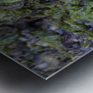 Abs 07_00006 Metal print
