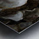 Abs 05_00004 Metal print