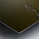 Abs 10_00009 Metal print