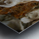 Abs 04_00003 Metal print