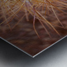 Abs 08_00007 Metal print